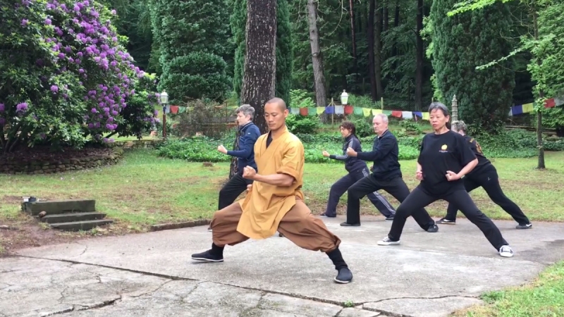 И цзинь цзин (шаолинь)