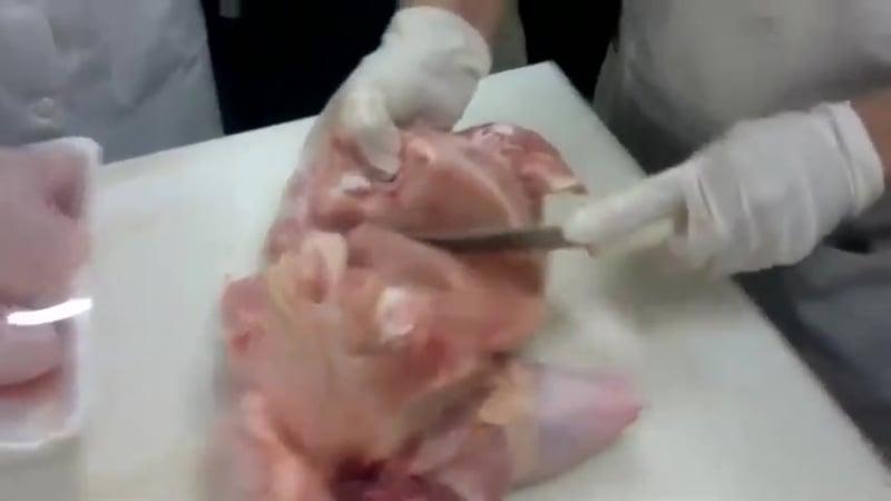 Хозяюшкам на вооружение куриное филе благодарности не надо,учитесь