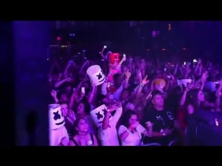 The ritual tour marshmello and fans