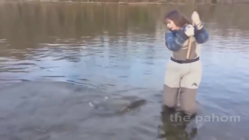 Девушки на рыбалке угарные приколы! [рыбалка, большая рыба, катушка, приманка, блесна, воблер, твистер, проводка, спиннинг]