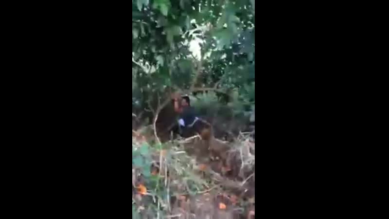 Затролил porn video – Друг затролил