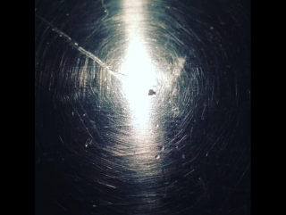 Amy lee (instagram) 24/02/2016 at 952pm utc