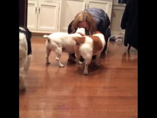 Puppy love 🐾💕🐾 in montclair can never get enough!