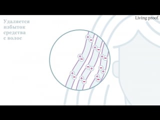 Perfect hair day in shower styler