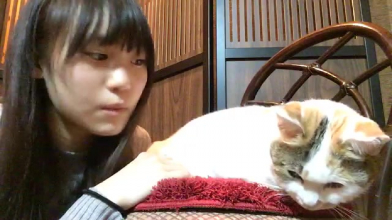 20161130 showroom toyonaga aki