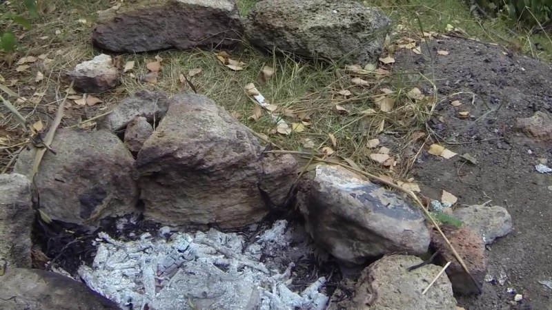 Выживание приготовление дождевых (земляных) червей