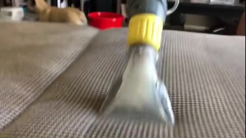 Clean now service химчистка дивана