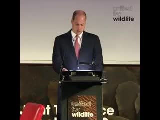 We should all feel proud that we’re starting to see an impact but it’s just that the start the duke of cambridge, at the firs