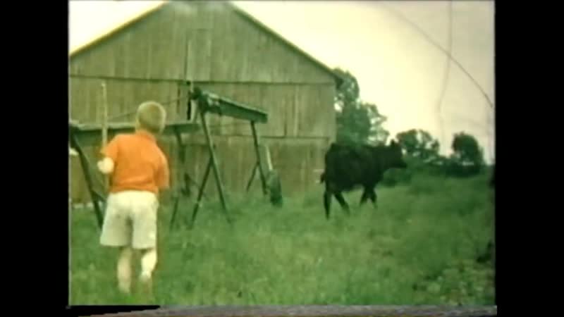 Ретро видео семейное фермерское хозяйство табаководов в штате коннектикут