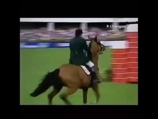 Horse is our life 20200906 231319 0 mp4