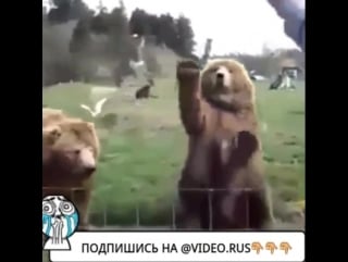 Подпишись на @video rus 👈
самые свежие видео🌟
разбавь свою скучную ленту😜 заходи, ты не пожалеешь😎 👇👇👇👇👇
@video rus 👈
@video rus