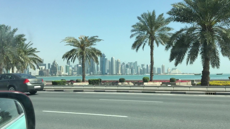 Красавица доха!