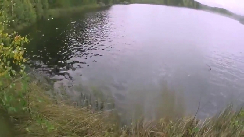 Эпичная рыбалка epic fishing