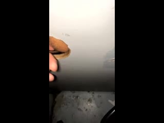 Подставил очко через дырку