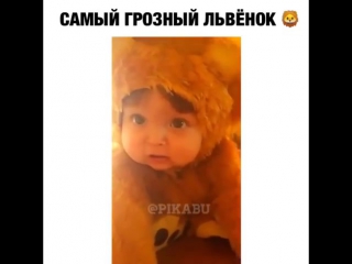 Какой львенок 😍