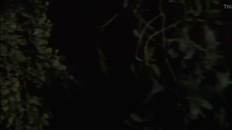 Повалил девушку на землю и принудительно засунул в неё член