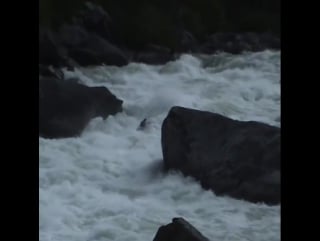 Ben marr runs huge rapind on the orbit fish