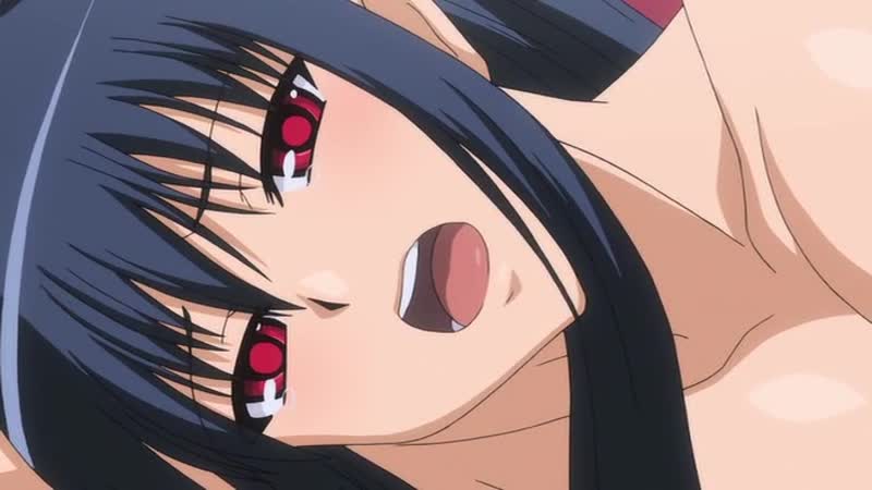 Seito kaichou hikaru