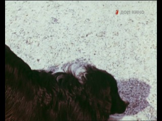 Ливень porn video – Ливень 1977