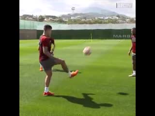 🤙 bobby x gini x shaq 🤙