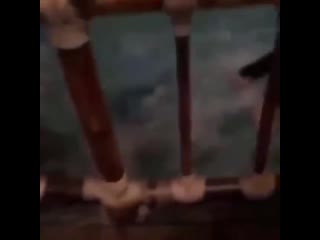 Синхронно ушли