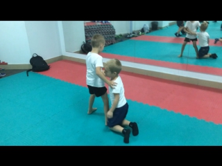 Задняя подножка