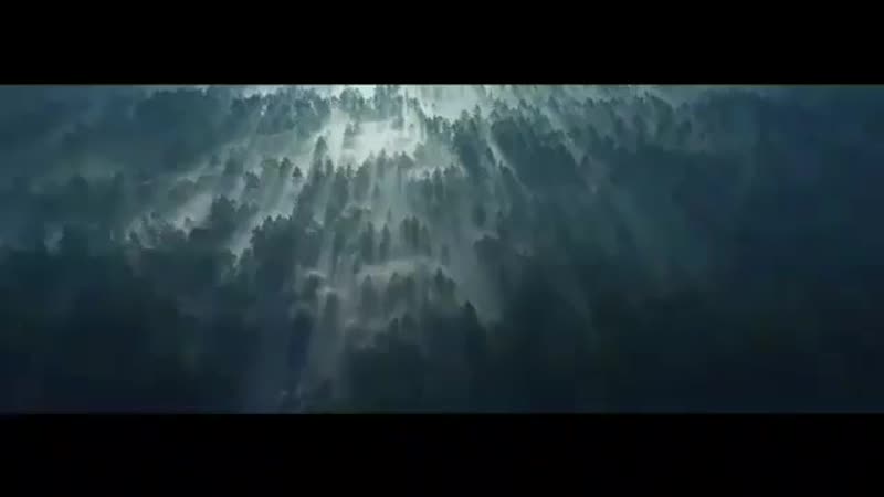 Парные ароматы viking and valkyrie