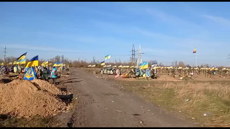 Бандер поле