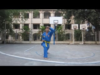 Long hổ quyền vovinam việt võ đạo