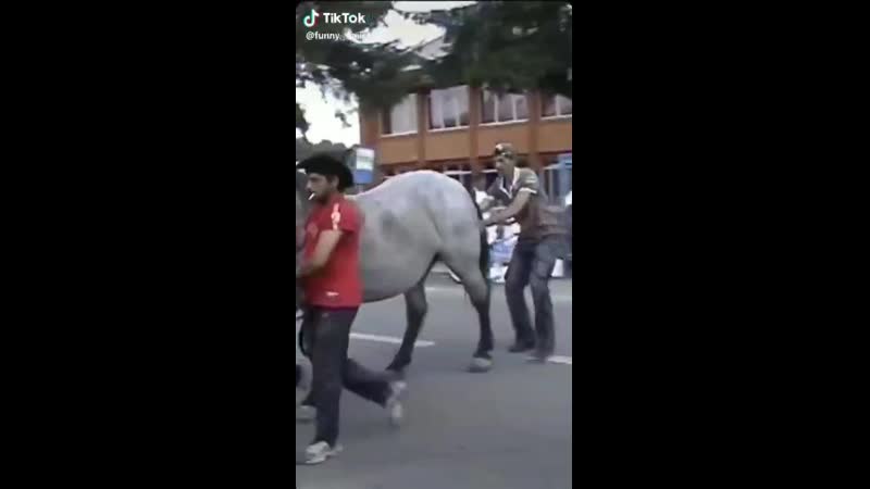 Ибо некуй