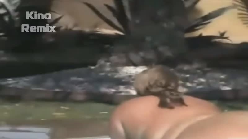 Лёлик и бегемотик рыбалка у белой скалы гонит волну фильмы комедии приколы 2019