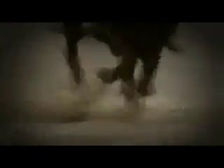 Afghanistan special military units