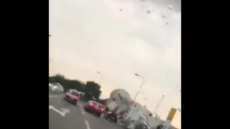 Сорвался пятнистый дог, потому что порвался поводок