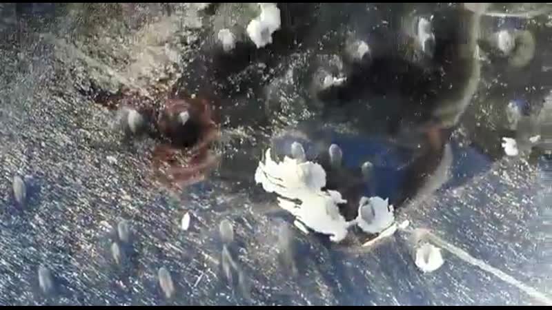 Врач находкинской городской больницы наталья пежемская, ранее вместе с другими врачами жал