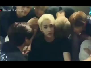 Скз любят чана