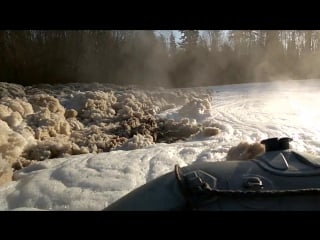 Сибирская речка вихореа год экологии