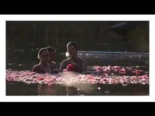 Novo bts de #guccibloom da dakota com petra collins e hari nef