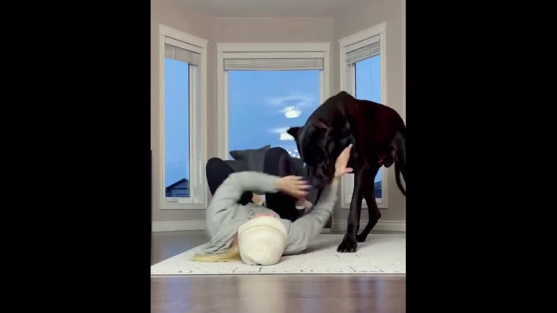 Аномальный песик