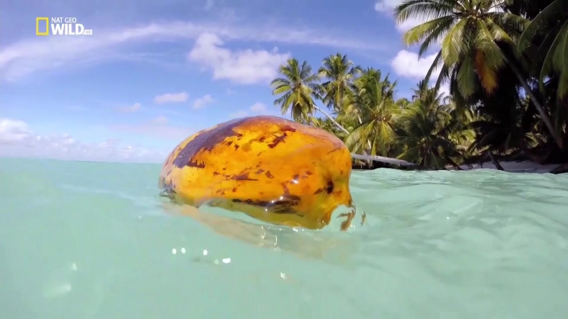 Дикие острова невиданные острова / unseen islands / частицы рая