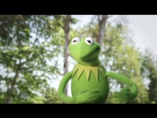 Happy first day of summer from kermit the frog and all the muppets