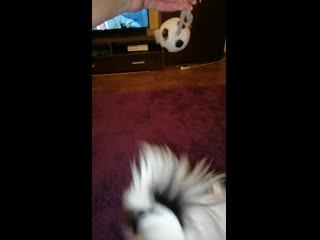 Sl mo vid 20200228 201431 mp4