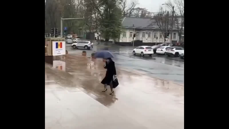 Майя санду приехала на работу