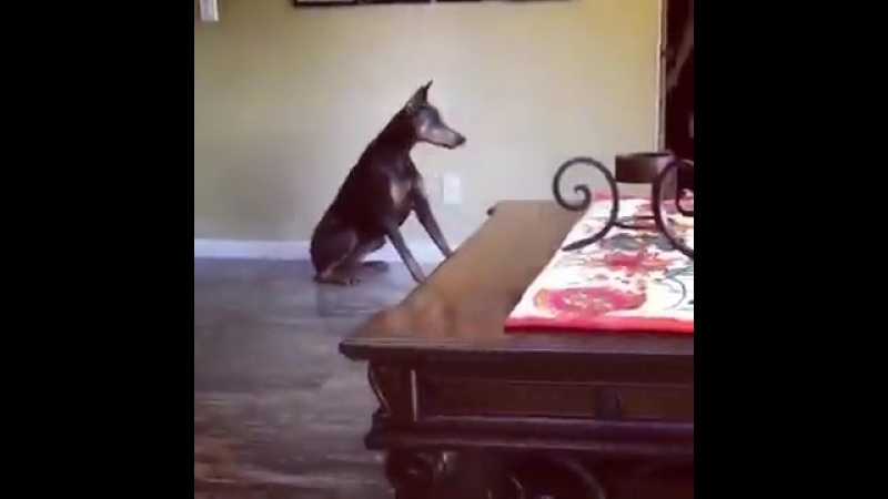 Завис от магии