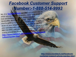 Can you have a facebook phone number that does not charge for a call even a solitary dime? 1 888 514 9993