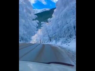 Margarita petrosyants 20201226 0001 mp4