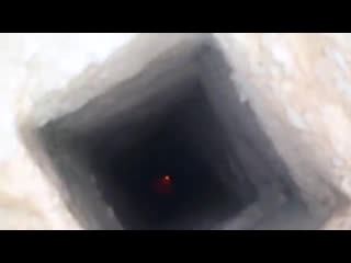 @trashbar слабоумие, отвага и коктейль молотова