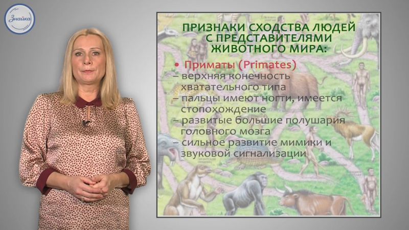 1 место человека в системе органического мира человек биологическое и социальное существо