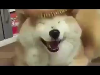 Taegi by porn ⁺¹⁸