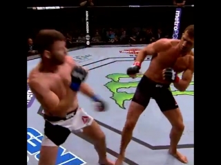 #onthisday in 2016 michael bisping vs luke rockhold