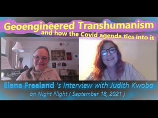 Geoengineered transhumanism • elana freeland 's interview with judith kwoba on night flight ( september 18, 2021 )